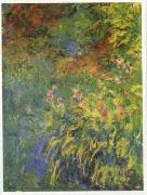 Irises, 1914-17 Claude Monet